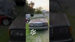 1978 Mercedes 280CE just needs a wash? #w123 #shorts #mercedes #280CE