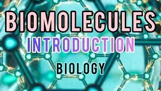 Biomolecules - Introduction