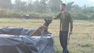 dog handler training (bond between dog and soldier)#Cobra