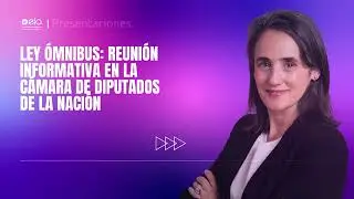 Ley &Oacute;mnibus: Natalia Gherardi expone en la reuni&oacute;n informativa de la C&aacute;mara de Diputados