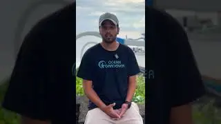 Learn about the corals and save the coral reefs