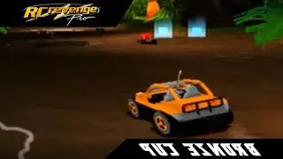 RC Revenge Pro | Reverse Bronze Cup