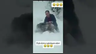 Eliyle domuzu yakaladı 😂 #kar #kış #domuz #sinop #heyecan #aksiyon #komedi #trendingshorts #shorts