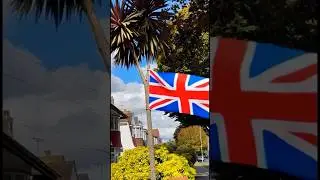 UK Union Flag on tree.