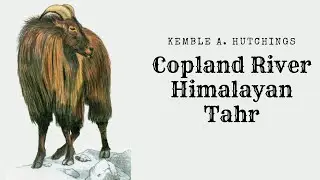 The Himalayan Tahr Kemble A  Hutchings Copland River, South Westland; 2012
