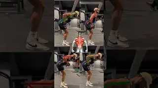 ROWING BUSTE PENCHER ✅ #exercicedos #rowingbustepench&eacute; #dosworkout #musculation