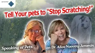 Help Your Pets Stop Scratching with Allergy Tips | SOP ep. 80 - Dr. Alice Novotny Jeromin