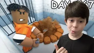 КОПАЙ, ЧТОБЫ СБЕЖАТЬ В РОБЛОКС! СБЕГИ ИЗ ТЮРЬМЫ!