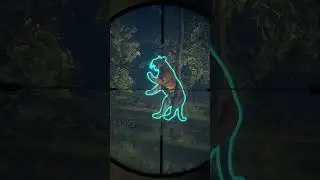 Being HUNTED by a DIAMOND TIGER! #thehuntercotw #diamond #tiger