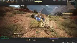 Deadeye Tungrad Ruins | 35k LS2 |No Agris| BDO