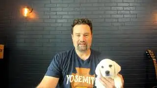 Should You Remove your Puppies Dew Claws?