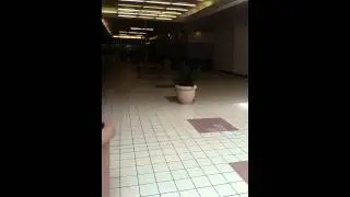 The Ledgewood Mall