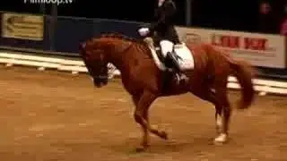 Gea vd Putte - de Vries
