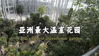 亚洲最大的温室花园，听说比新加坡的还大。城市中的森林仙境，据说是上海花费几十亿打造的。shanghai china travel.Asia's biggest greenhouse