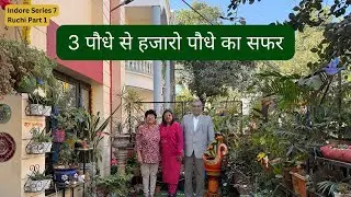 3 Plants से हजारों Plants का सफ़र