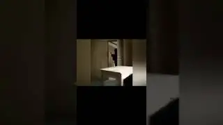 no furriers aloud inside