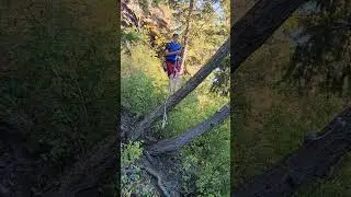 crazy rope swing belly flop #watersport #ropeswing