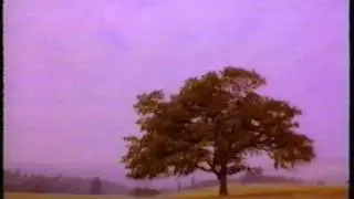 The Prudential Rock Solid Commercial 1991