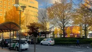 CAR INSURANCE AND SHAKEN IN JAPAN