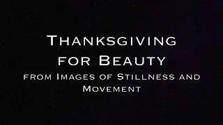 Thanksgiving for Beauty