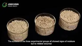 10 Days. Zero Mold. The Tofu Cat Litter Built for Southeast Asia&rsquo;s Climate 🐾 #catlitter