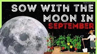 Lunar Calendar for SOWING and GARDENING in September 🌱🌿 How to Plant with the Moon in September 2025