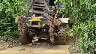 6-wheeled vehicle transporting acacia wood in the mountains.