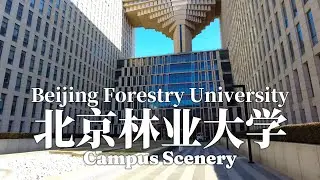 BEIJING FORESTRY UNIVERSITY 北京林业大学-Campus Scenery