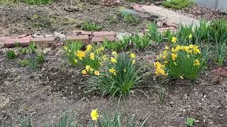 Reinforcing the rock border