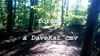 forest - a DaveKat cmv
