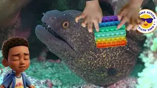 Electric Eels Elijah;s interesting sea fact of the day!