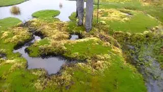 Mountain bog walking