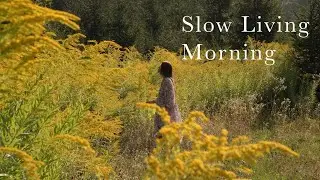 A quiet morning in the forest | Picking wildflowers & berries