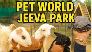 🐾 PET WORLD JEEVA PARK 🐐🐢🐰 | Fun Day With Cute Animals & Family Vlog