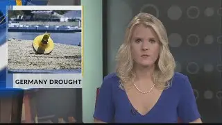 Europe drought: German industry at risk as Rhine Level falls