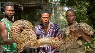 ALMOST EATEN BY THE WORLD MOST VENOMOUS AND BIGGEST SNAKE INSIDE GHANA
