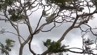 Riders on the Storm