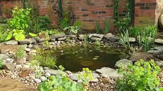 Steppingley Village Gardens