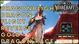 WoW Dragonflight Dragonblight Dragon Flight Reverse Gold Dragonriding Race