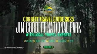 Jim Corbett National Park Travel Guide 2025 | By Local Travel Experts