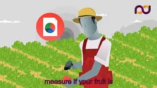 Numanufacturing NIR Spectroscopy Food Sense