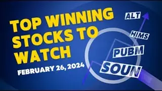 TOP CHARTS OF THE DAY FOR 2/26/24 &ndash; ALT, HIMS, PUBM, SOUN