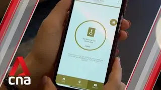 Singapore to roll out cybersecurity labels for smart devices