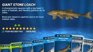 Fishing Battle With Giant Stone Loach - Fishing Clash Gameplay Ep168