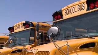 New Bus Company