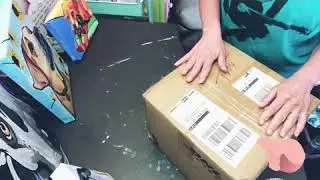 Apeture Pet Unboxing with @kincustom