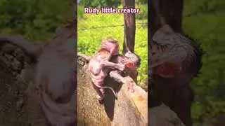Janwar bhi parvah karte hai Apno ki  || Rudy Little Creator
