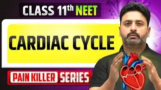 Cardiac Cycle - From Basic to Advance | NEET 2026