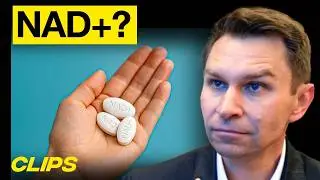 NAD+ For Anti Aging: What You Need to Know | MOONSHOTS