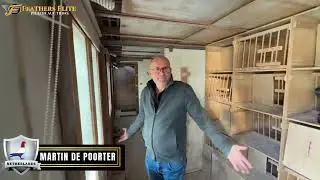 Inside the Lofts of National & International Long Distance Champion Martin de Poorter~Netherlands
